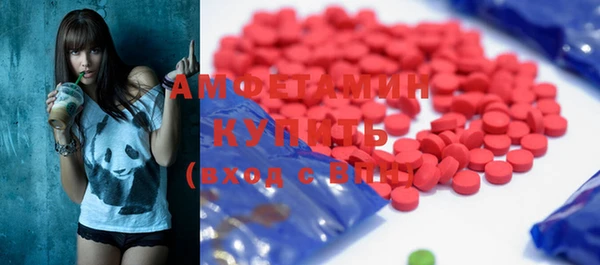 амф Новодвинск
