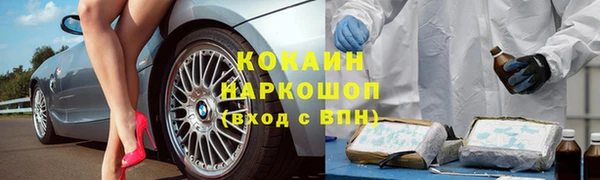 амф Новокубанск