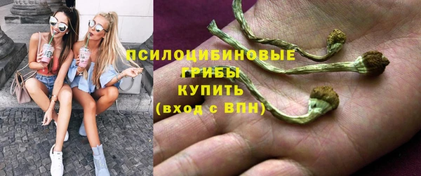 бутират Няндома