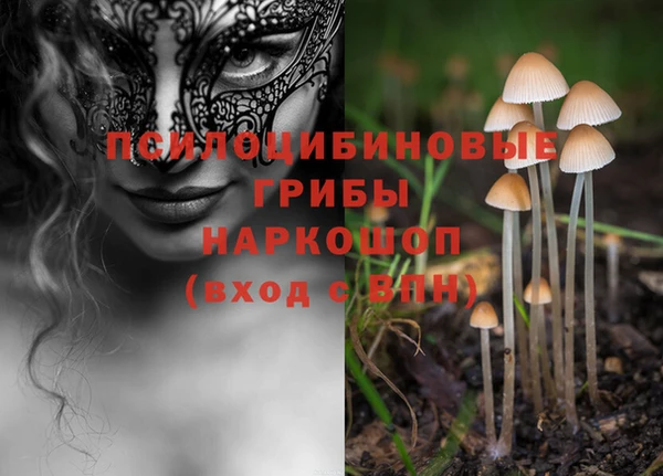 jwh Новозыбков