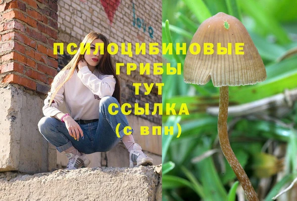 МДПВ Нягань