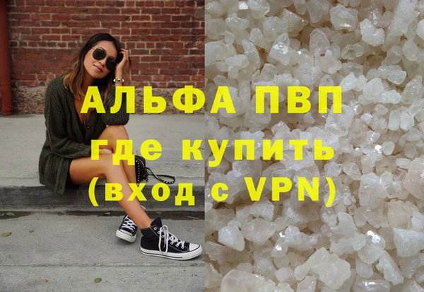 амф Новокубанск