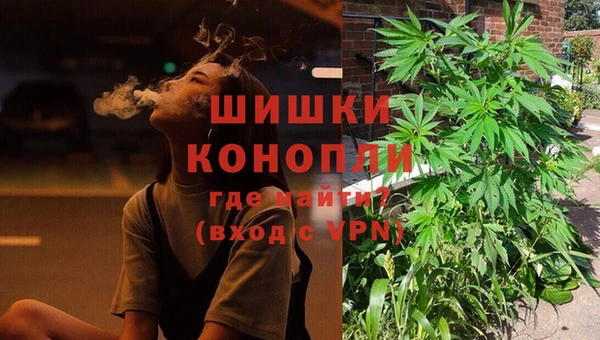 амф Новодвинск