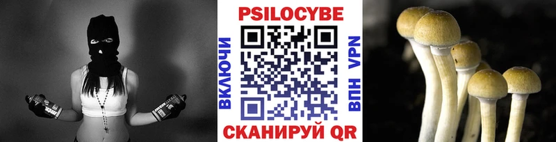 blacksprut вход Инсар Псилоцибиновые грибы MAGIC MUSHROOMS